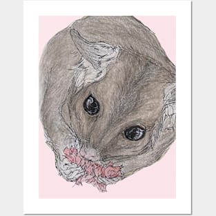 Possum Flower Posters and Art